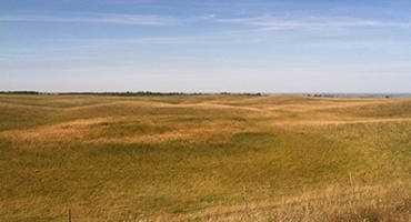 Grassland Management Do’s and Don’ts: Introduction