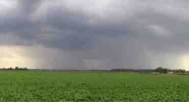  Rain To Southern Saskatchewan Both Good News And Bad For Farmers
