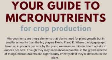 Here’s What The Latest Research Says About Micronutrients