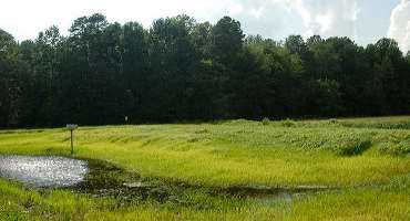 Threats to Conservation Easement Funding Put Farmland and Wetlands at Risk