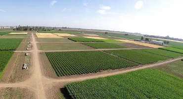 California Agriculture Contributes to and is Impacted by Climate Change