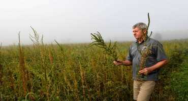 Herbicide Rotation Key In The War Against Weeds