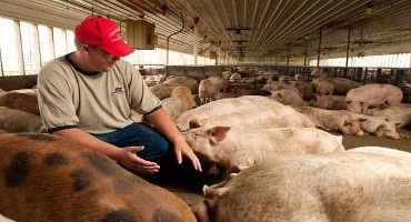 FB Members Help Defeat Anti-Livestock Petition