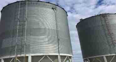 Grain Storage Tips To Avoid Mould And Insects