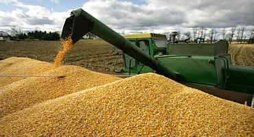 Corn And Soybeans Lag Behind Their Harvest Averages, But Fair Weather Could Catch Things Up