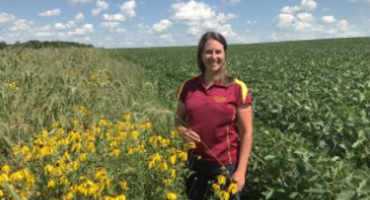  Iowa State University Project: Prairie Strips Yield Big Environmental Benefits