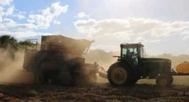 Farmers Hustle To Harvest As Nate Tracks Westward, Targets Alabama