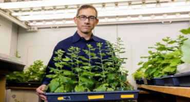 Reinvestment In Research Supports Potential For Increased Crop Yields