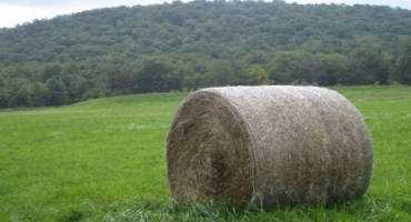 Safely Making and Handling Large Package Hay Bales