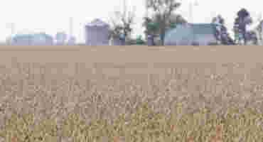 Months Of Wonky Weather Could Delay Indiana's Harvest