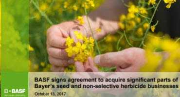 Bayer Sells Seed Business to BASF