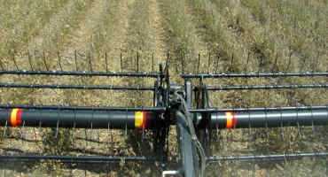 Seven Arkansas Growers Break 100-Bushel Mark In Soybeans