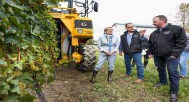 Discussing the fruits of their labour: grape growers talk to Wynne about wage increase