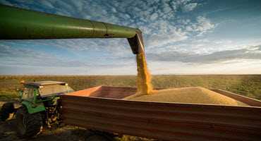 American soybean harvest reaching the halfway point