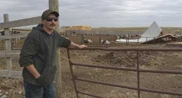 Alberta dairy farmer loses buildings and a cow during windstorm