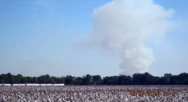 Burning Issue: Fire As A Field Prep Tool For Rice Growers