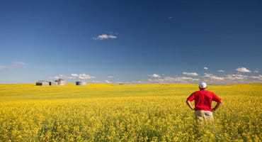 Farmland market remains strong across Canada