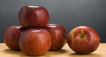 Disease-Resistant Apples Perform Better Than Old Favorites
