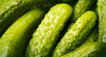 Celebrating cucumbers on National Pickle Day
