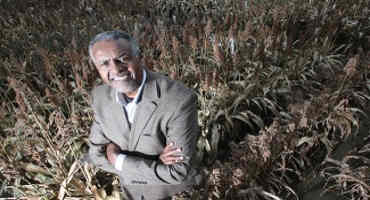 Purdue Poised To Improve Sorghum For Millions With $5 Million Grant