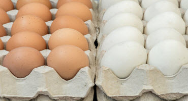 U.S. Supreme Court may hear lawsuit over California’s egg law