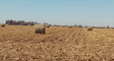 Crop Residue Removal: Impacts on Yield
