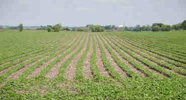 State Ag Officials Approve Three Dicamba Brands