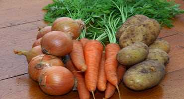 Spare Ontario vegetables helping feed Indigenous communities