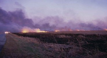 Interest-free loans for farmers affected by wildfires