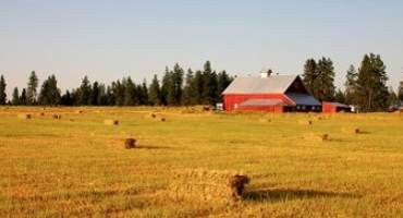 Acreage Management Improved Through Small Farms Conference