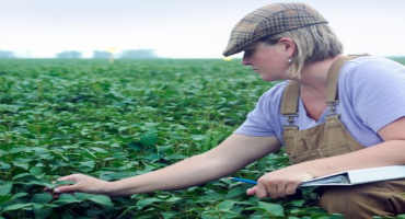 Ohio State Offers Programs To Support Ohio Women Farmers