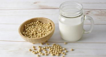Soybean Protein Hydrolysate Market: Product Innovation To Underscore Lucrative Growth Opportunities