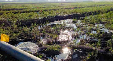 Flooding Alfalfa Fields Has High Potential For Groundwater Recharge