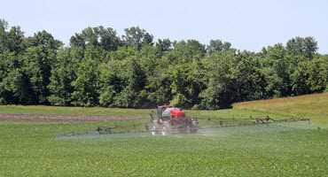 Arkansas officially places seasonal ban on dicamba