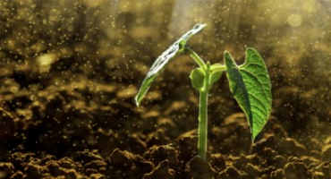 Conference to Discuss Enriching Soils While Keeping Water Safe