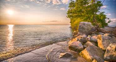 Protecting our Great Lakes: Ontario producers work together to reduce phosphorus in Lake Erie