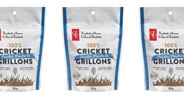 Ontario farm to supply Loblaws with cricket powder