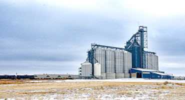 Gov’t funds help dairy and grain producers