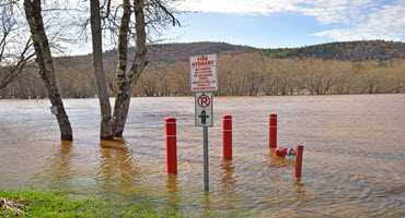 N.B. flooding displaces livestock