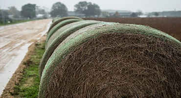 Managing Hay Resources: Evaluating Hay for Purchase