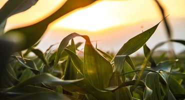 Ethanol industry sues EPA