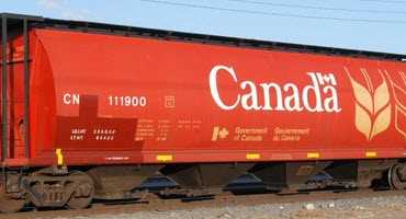 CN orders 1,000 grain cars