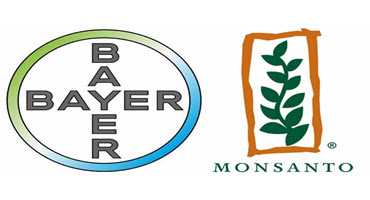Bayer dropping Monsanto name after merger