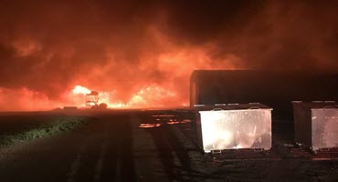 Sask. fire kills about 12,000 pigs