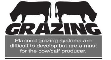 BeefTalk: How Many Cattle Should Go in the Pasture?