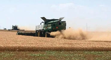 Corn Crop Ratings Remain Historically High for Mid June- Wheat Harvest Running Ahead of the Five Year Average - USDA Calls Oklahoma 73% Harvested