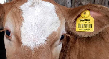 As Industry Debates the Need of Traceability - the Performance Food Group Proves Program's Value