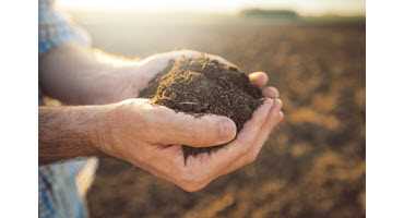 Farmer-turned-writer shares Ontario’s soil history