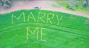 Farmer interseeds marriage proposal