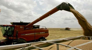 USDA Reports Better Than Expected Wheat Harvest in OK, Adjusts Total '18 Production Up by 27%